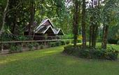 Туры в отель Khao Sok Riverside Cottage
