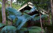 Туры в отель Khao Sok Riverside Cottage