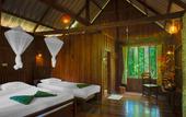Туры в отель Khao Sok Riverside Cottage