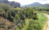 Туры в отель Khao Sok Riverside Cottage