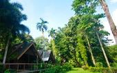 Туры в отель Khao Sok Riverside Cottage