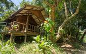 Туры в отель Khao Sok Riverside Cottage