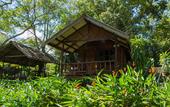 Туры в отель Khao Sok Riverside Cottage
