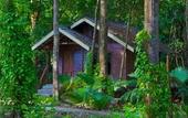 Туры в отель Khao Sok Riverside Cottage
