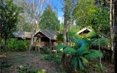 Туры в отель Khao Sok Riverside Cottage