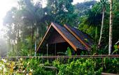 Туры в отель Khao Sok Riverside Cottage