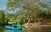 Туры в отель Khao Sok Riverside Cottage
