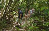 Туры в отель Khao Sok Riverside Cottage