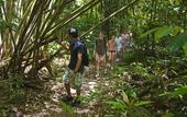 Туры в отель Khao Sok Riverside Cottage