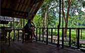 Туры в отель Khao Sok Riverside Cottage