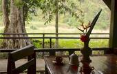 Туры в отель Khao Sok Riverside Cottage