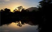 Туры в отель Khao Sok Riverside Cottage