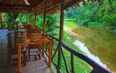 Туры в отель Khao Sok Riverside Cottage