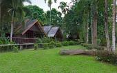 Туры в отель Khao Sok Riverside Cottage