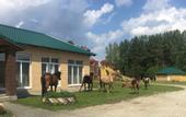 Туры в отель «Новая Ельня» конно-туристическая база отдыха