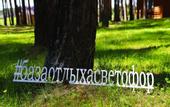 Туры в отель «Светофор» база отдыха