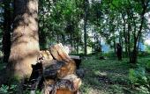 Туры в отель «Жили-Были» база отдыха