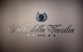 Туры в отель Hotel Stella Della Versilia