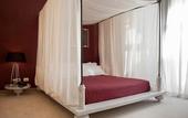 Туры в отель Hotel Stella Della Versilia