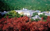 Туры в отель Fragrant Hill Hotel