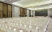 Туры в отель Crowne Plaza YIBIN by IHG