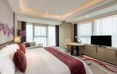 Туры в отель Crowne Plaza YIBIN by IHG