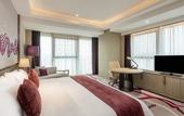 Туры в отель Crowne Plaza YIBIN by IHG