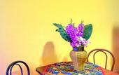 Туры в отель Hostel Agata
