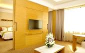 Туры в отель Holiday Inn XI'AN BIG GOOSE PAGODA by IHG