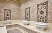 Туры в отель Shah Palace Hotel