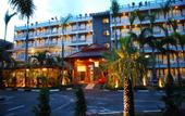 Туры в отель Honey Resort