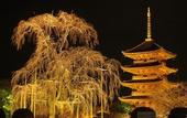 Туры в отель HOTEL SHE, KYOTO