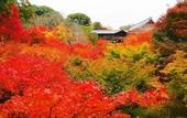 Туры в отель HOTEL SHE, KYOTO