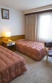 Туры в отель City Hotel Airport in Prince