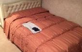 Туры в отель City Hotel Airport in Prince