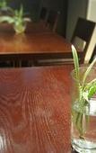 Туры в отель Foret Guest House