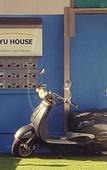 Туры в отель Foret Guest House