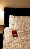 Туры в отель Foret Guest House