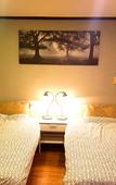 Туры в отель Foret Guest House