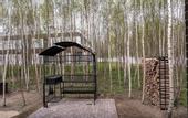 Туры в отель «Звездный» загородный комплекс