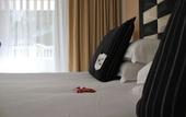 Туры в отель Hotel Victoria