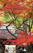 Туры в отель WeBase Kamakura