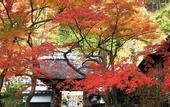 Туры в отель WeBase Kamakura