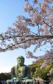 Туры в отель WeBase Kamakura