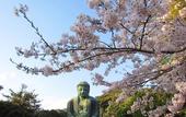 Туры в отель WeBase Kamakura