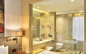 Туры в отель Radisson Blu Faridabad