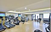 Туры в отель Radisson Blu Faridabad