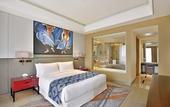 Туры в отель Radisson Blu Faridabad