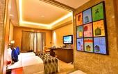 Туры в отель Radisson Blu Faridabad