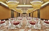 Туры в отель Radisson Blu Faridabad